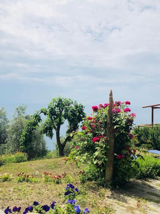 Amazing Flat At The Heart Of 5 Terre National Park Apartment Vernazza Ngoại thất bức ảnh