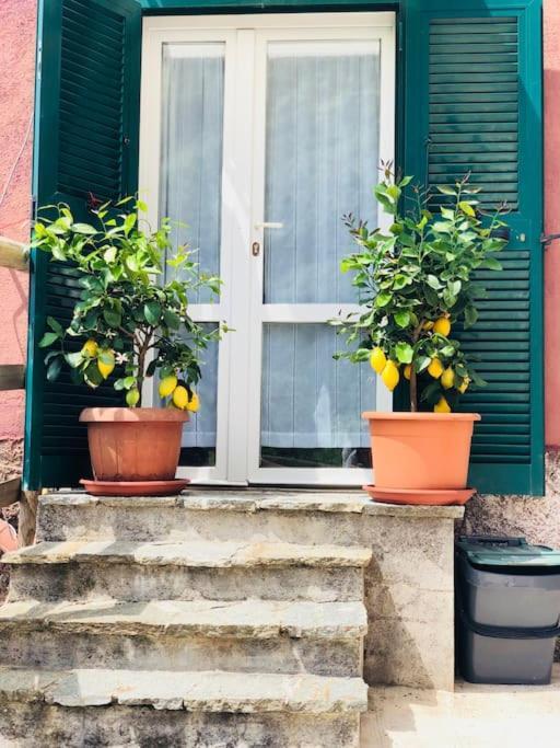 Amazing Flat At The Heart Of 5 Terre National Park Apartment Vernazza Ngoại thất bức ảnh