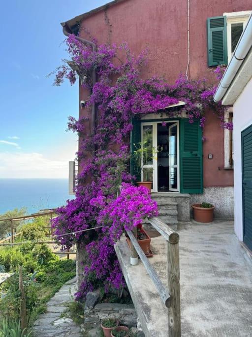 Amazing Flat At The Heart Of 5 Terre National Park Apartment Vernazza Ngoại thất bức ảnh
